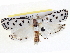  ( - BIOUG04227-H03)  @13 [ ] CreativeCommons - Attribution (2013) CBG Photography Group Centre for Biodiversity Genomics