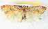  ( - BIOUG04228-C11)  @12 [ ] CreativeCommons - Attribution (2013) CBG Photography Group Centre for Biodiversity Genomics