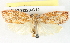  ( - BIOUG04228-C12)  @12 [ ] CreativeCommons - Attribution (2013) CBG Photography Group Centre for Biodiversity Genomics