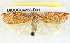  ( - BIOUG04228-D01)  @12 [ ] CreativeCommons - Attribution (2013) CBG Photography Group Centre for Biodiversity Genomics