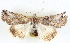  ( - BIOUG04228-D04)  @14 [ ] CreativeCommons - Attribution (2013) CBG Photography Group Centre for Biodiversity Genomics
