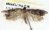  ( - BIOUG04228-E06)  @12 [ ] CreativeCommons - Attribution (2013) CBG Photography Group Centre for Biodiversity Genomics