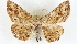  ( - BIOUG04228-F12)  @14 [ ] CreativeCommons - Attribution (2013) CBG Photography Group Centre for Biodiversity Genomics