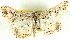  ( - BIOUG04228-H03)  @13 [ ] CreativeCommons - Attribution (2013) CBG Photography Group Centre for Biodiversity Genomics