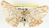  ( - BIOUG04228-H09)  @14 [ ] CreativeCommons - Attribution (2013) CBG Photography Group Centre for Biodiversity Genomics