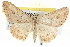  ( - BIOUG04229-A01)  @14 [ ] CreativeCommons - Attribution (2012) CBG Photography Group Centre for Biodiversity Genomics