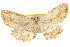  ( - BIOUG04229-A08)  @14 [ ] CreativeCommons - Attribution (2012) CBG Photography Group Centre for Biodiversity Genomics