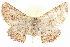  ( - BIOUG04229-A09)  @14 [ ] CreativeCommons - Attribution (2012) CBG Photography Group Centre for Biodiversity Genomics