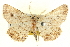  ( - BIOUG04229-B02)  @14 [ ] CreativeCommons - Attribution (2012) CBG Photography Group Centre for Biodiversity Genomics