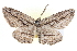  ( - BIOUG04229-B04)  @14 [ ] CreativeCommons - Attribution (2012) CBG Photography Group Centre for Biodiversity Genomics