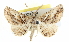  ( - BIOUG04229-E10)  @13 [ ] CreativeCommons - Attribution (2012) CBG Photography Group Centre for Biodiversity Genomics