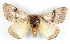  ( - BIOUG04230-A02)  @13 [ ] CreativeCommons - Attribution (2013) CBG Photography Group Centre for Biodiversity Genomics