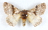  ( - BIOUG04230-A03)  @13 [ ] CreativeCommons - Attribution (2013) CBG Photography Group Centre for Biodiversity Genomics