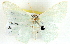  ( - BIOUG04230-C10)  @13 [ ] CreativeCommons - Attribution (2013) CBG Photography Group Centre for Biodiversity Genomics