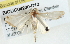  ( - BIOUG04230-D12)  @12 [ ] CreativeCommons - Attribution (2013) CBG Photography Group Centre for Biodiversity Genomics