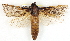  ( - BIOUG04230-E03)  @13 [ ] CreativeCommons - Attribution (2013) CBG Photography Group Centre for Biodiversity Genomics