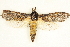  ( - BIOUG04230-F08)  @14 [ ] CreativeCommons - Attribution (2013) CBG Photography Group Centre for Biodiversity Genomics
