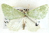  ( - BIOUG04230-G02)  @13 [ ] CreativeCommons - Attribution (2013) CBG Photography Group Centre for Biodiversity Genomics