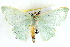  ( - BIOUG04230-G07)  @13 [ ] CreativeCommons - Attribution (2013) CBG Photography Group Centre for Biodiversity Genomics