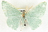  ( - BIOUG04230-H05)  @14 [ ] CreativeCommons - Attribution (2013) CBG Photography Group Centre for Biodiversity Genomics