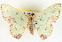  ( - BIOUG04230-H08)  @14 [ ] CreativeCommons - Attribution (2013) CBG Photography Group Centre for Biodiversity Genomics