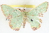  ( - BIOUG04230-H10)  @13 [ ] CreativeCommons - Attribution (2013) CBG Photography Group Centre for Biodiversity Genomics
