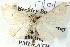  ( - BIOUG04371-A10)  @12 [ ] CreativeCommons - Attribution (2013) CBG Photography Group Centre for Biodiversity Genomics