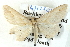  ( - BIOUG04371-A12)  @12 [ ] CreativeCommons - Attribution (2013) CBG Photography Group Centre for Biodiversity Genomics