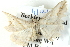  ( - BIOUG04371-B01)  @12 [ ] CreativeCommons - Attribution (2013) CBG Photography Group Centre for Biodiversity Genomics