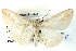  ( - BIOUG04371-B02)  @12 [ ] CreativeCommons - Attribution (2013) CBG Photography Group Centre for Biodiversity Genomics