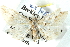  ( - BIOUG04371-B04)  @12 [ ] CreativeCommons - Attribution (2013) CBG Photography Group Centre for Biodiversity Genomics