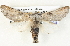  ( - BIOUG04371-C10)  @13 [ ] CreativeCommons - Attribution (2013) CBG Photography Group Centre for Biodiversity Genomics