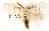  ( - BIOUG04371-G11)  @13 [ ] CreativeCommons - Attribution (2013) CBG Photography Group Centre for Biodiversity Genomics