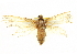  ( - BIOUG04372-B02)  @13 [ ] CreativeCommons - Attribution (2013) CBG Photography Group Centre for Biodiversity Genomics