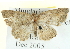  ( - BIOUG04372-B06)  @13 [ ] CreativeCommons - Attribution (2013) CBG Photography Group Centre for Biodiversity Genomics