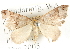  ( - BIOUG04372-B07)  @15 [ ] CreativeCommons - Attribution (2013) CBG Photography Group Centre for Biodiversity Genomics