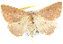  ( - BIOUG04372-D01)  @14 [ ] CreativeCommons - Attribution (2013) CBG Photography Group Centre for Biodiversity Genomics