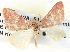  ( - BIOUG04372-E04)  @13 [ ] CreativeCommons - Attribution (2013) CBG Photography Group Centre for Biodiversity Genomics