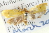  ( - BIOUG04372-F10)  @12 [ ] CreativeCommons - Attribution (2013) CBG Photography Group Centre for Biodiversity Genomics