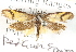  ( - BIOUG04372-G01)  @11 [ ] CreativeCommons - Attribution (2013) CBG Photography Group Centre for Biodiversity Genomics