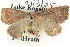  ( - BIOUG04471-A08)  @13 [ ] CreativeCommons - Attribution (2013) CBG Photography Group Centre for Biodiversity Genomics