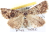  ( - BIOUG04471-B01)  @13 [ ] CreativeCommons - Attribution (2013) CBG Photography Group Centre for Biodiversity Genomics