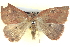  ( - BIOUG04471-B07)  @14 [ ] CreativeCommons - Attribution (2013) CBG Photography Group Centre for Biodiversity Genomics