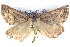  ( - BIOUG04471-C08)  @14 [ ] CreativeCommons - Attribution (2013) CBG Photography Group Centre for Biodiversity Genomics