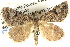  ( - BIOUG04471-F02)  @15 [ ] CreativeCommons - Attribution (2013) CBG Photography Group Centre for Biodiversity Genomics