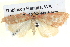  ( - BIOUG04471-G04)  @13 [ ] CreativeCommons - Attribution (2013) CBG Photography Group Centre for Biodiversity Genomics