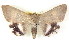  ( - BIOUG04497-B03)  @13 [ ] CreativeCommons - Attribution (2013) CBG Photography Group Centre for Biodiversity Genomics