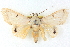  ( - BIOUG04497-B05)  @14 [ ] CreativeCommons - Attribution (2013) CBG Photography Group Centre for Biodiversity Genomics