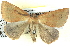 ( - BIOUG04497-C08)  @14 [ ] CreativeCommons - Attribution (2013) CBG Photography Group Centre for Biodiversity Genomics