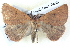  ( - BIOUG04497-C09)  @14 [ ] CreativeCommons - Attribution (2013) CBG Photography Group Centre for Biodiversity Genomics